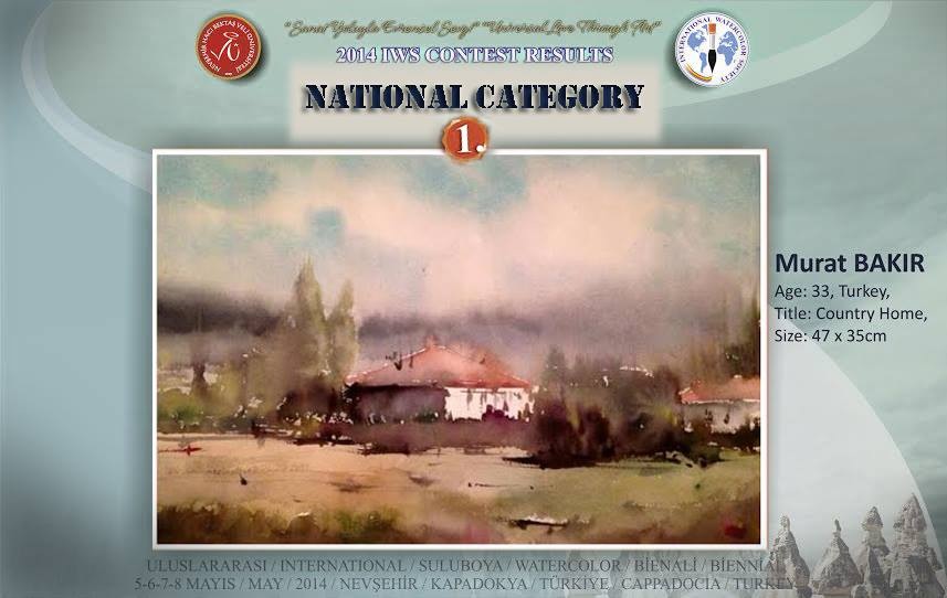 2014 yılı IWS Resim Yarışması
